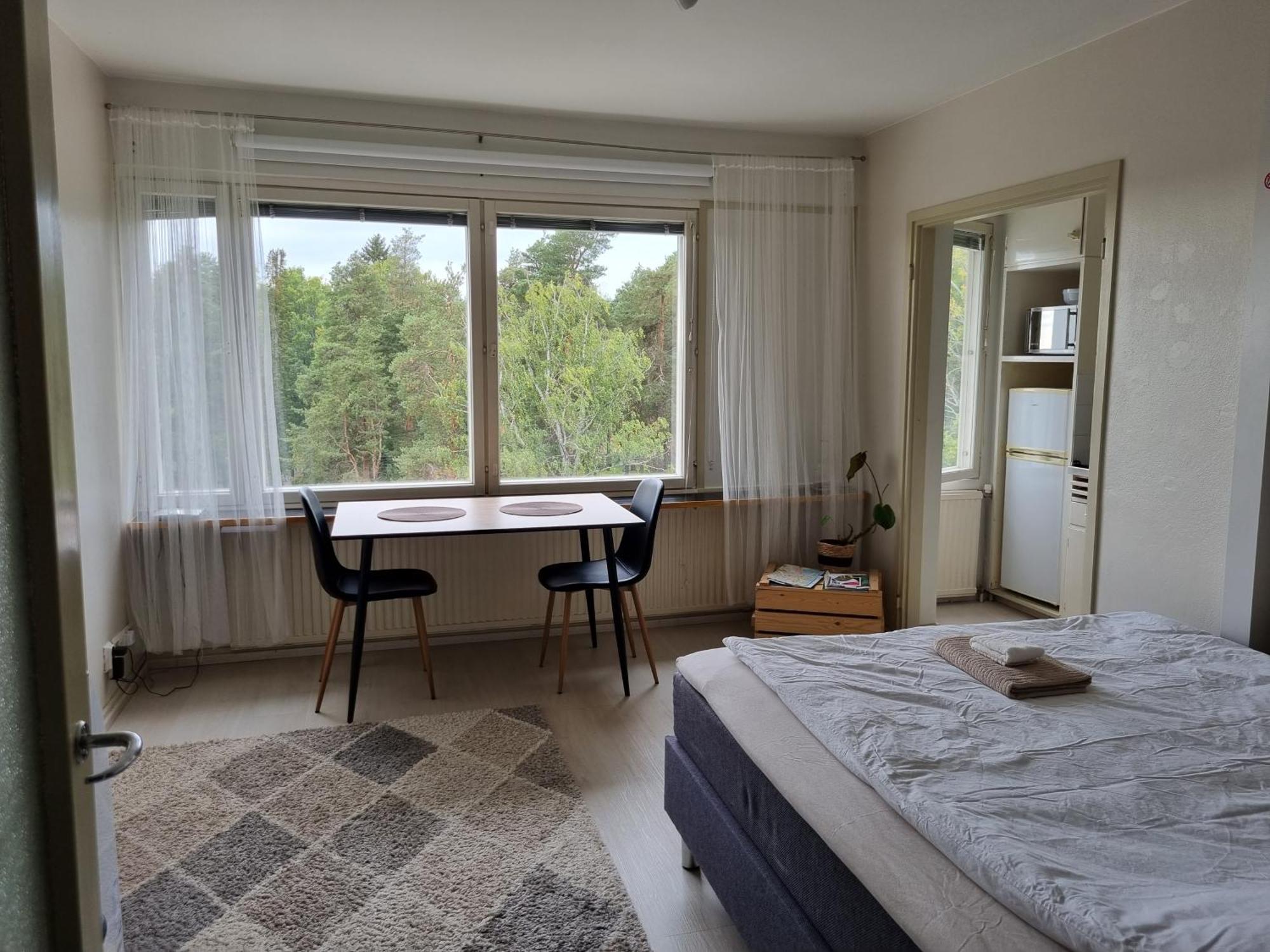 Appartamento 6. Kerroksen Yksioe Laehellae Matkakeskusta.